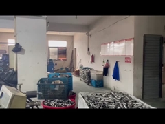 Zhejiang, alat press Cina