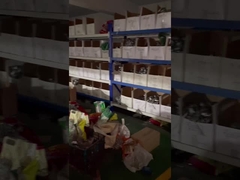 Zhejiang, alat press Cina